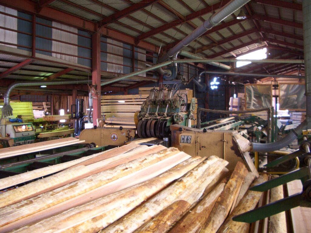 徳島の製材所で杉の丸太を製材している様子