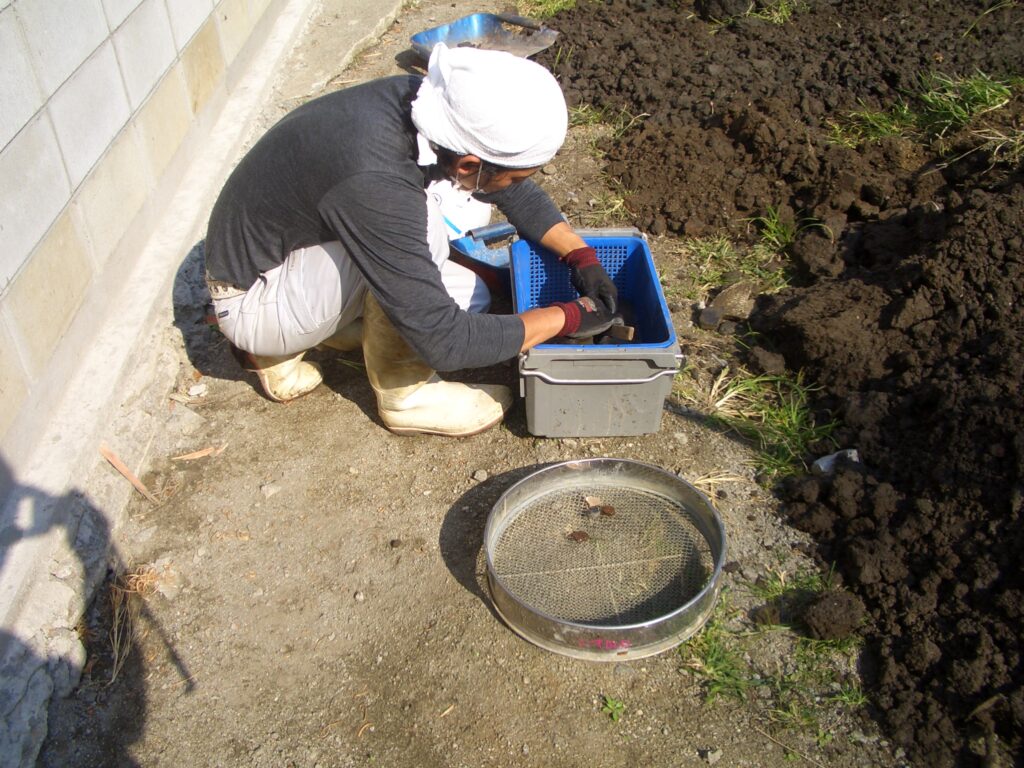 敷地から出土した土器の破片をふるいにかけている