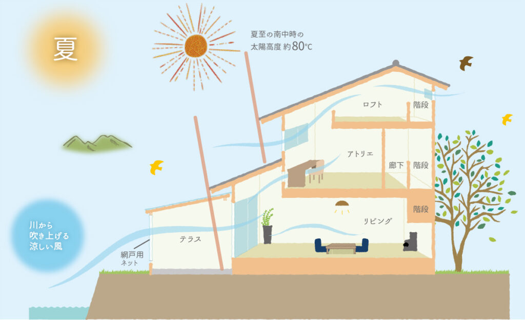 通風・採光の設計断面図（夏の空気の流れ）