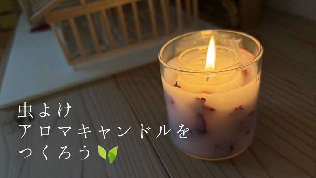 薄暗い室内でボタニカルキャンドルが美しくともっている